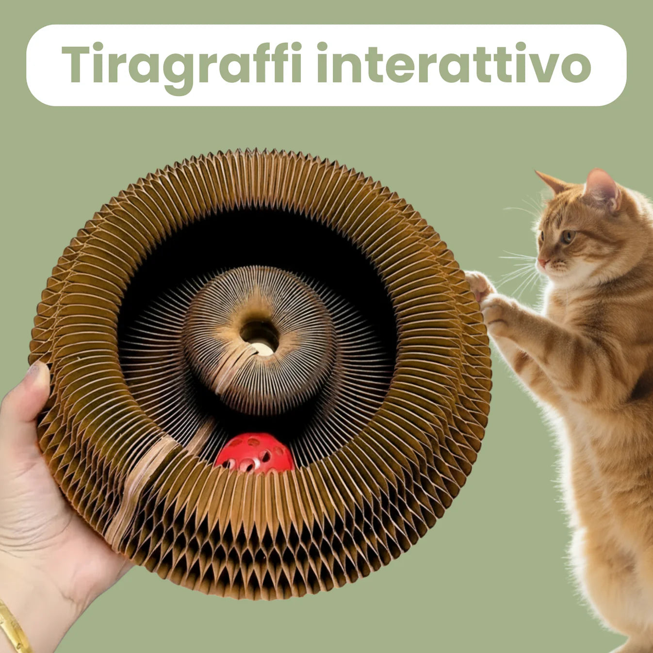 TIRAGRAFFI INTERATTIVO PER GATTI