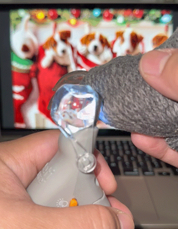 Tagliaunghie Professionale con LED e Lente Ingrandente