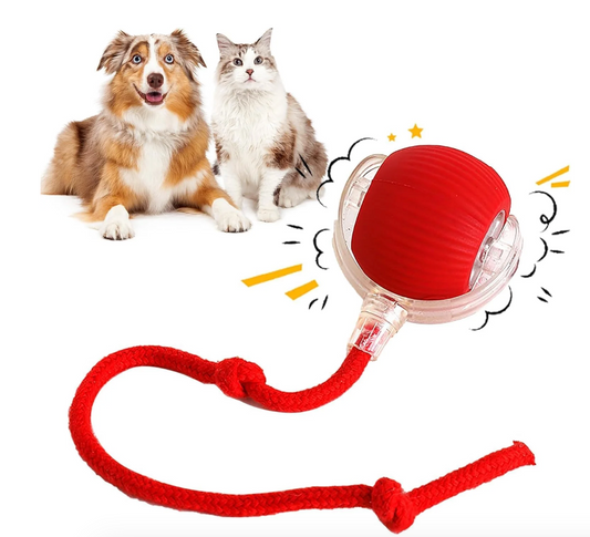PallaAttiva™ - Pallina Interattiva per Cani e Gatti