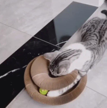 TIRAGRAFFI INTERATTIVO PER GATTI